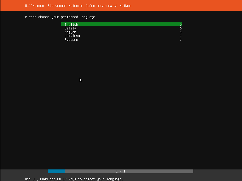 Ubuntu server 2